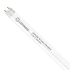 Ledvance Tubo LED T8 Value (EM/Mains) Standard Output 6.6W 800lm - 840 Bianco Freddo | 60cm - Sostitutiva 18W